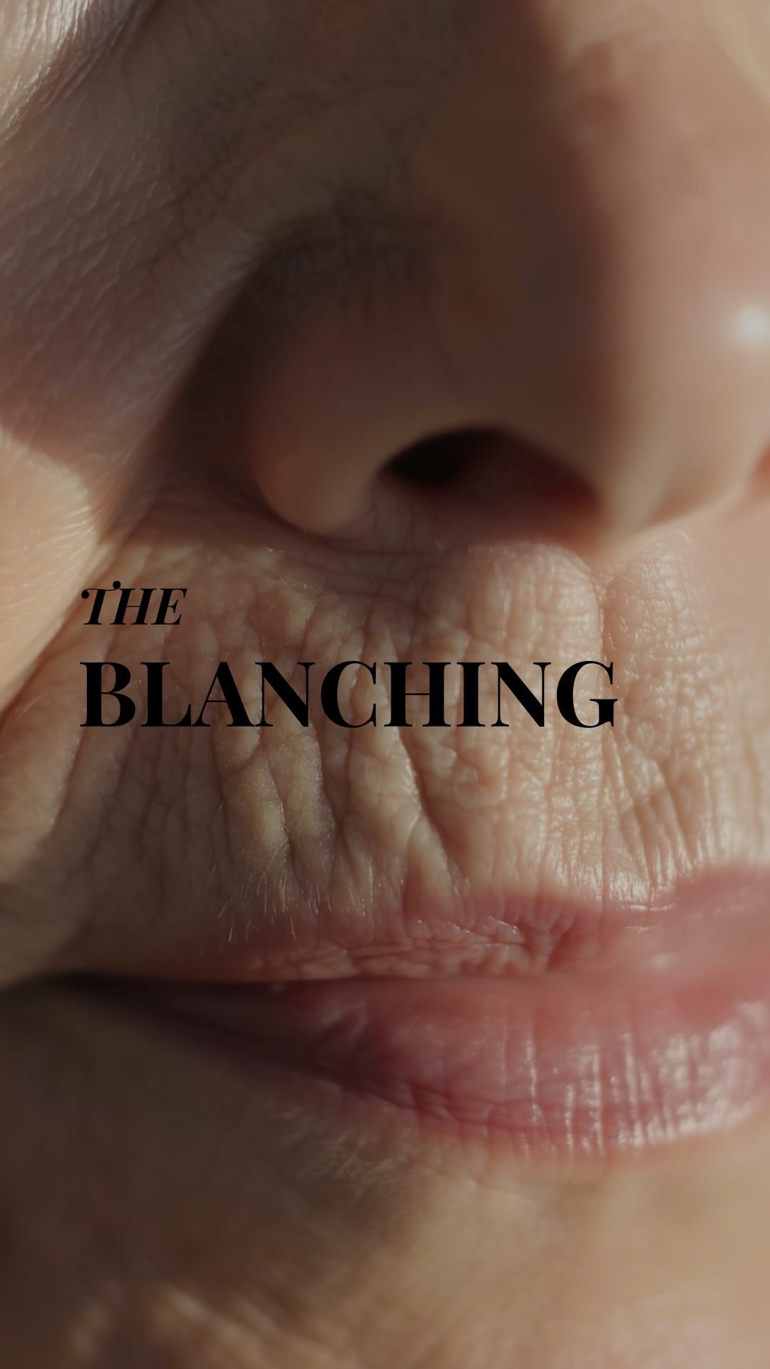 673235035 18395195035158153 8492396534677321198 n