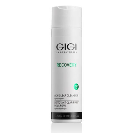 Recovery Reinigungsgel, 250ml.